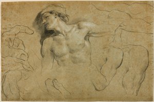 Études de mains, épaules et une jambe - Carlo Cignani