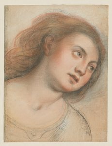 Étude pour tête féminine (verso); Tête du Christ (recto)