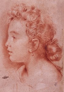 Portrait de Faustina Maratti - Carlo Maratta