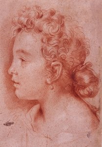 Portrait de Faustina Maratti - Carlo Maratta