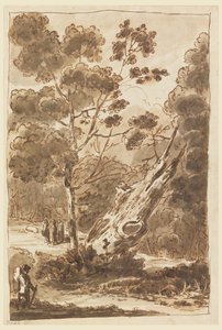 Figure dans la forêt