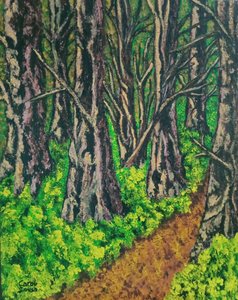 Sentier dans la forêt