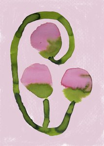 Fleurs roses abstraites - Carola Cedell