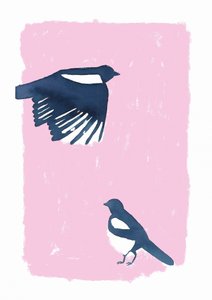 Les Magpies du ciel rose - Carola Cedell