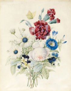 Un bouquet de fleurs comprenant une rose, une convolvulus bleue et des pensées, 1830