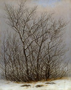 Buisson dans la neige - Caspar David Friedrich