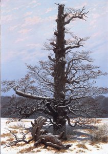 French : Le chêne dans la neige The Oaktree in the Snow - Caspar David Friedrich