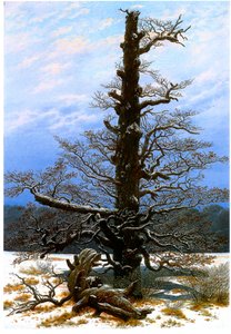 French : Le chêne dans la neige The Oaktree in the Snow - Caspar David Friedrich
