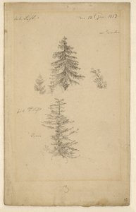 Allemand : Zwei Tannenstudien Deux études sur les sapins - Caspar David Friedrich