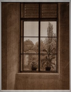 Fenêtre avec vue sur un parc