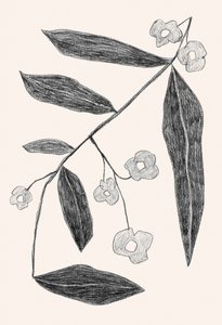 Dessin de branches de plantes
