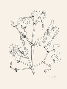 Dessin au trait « Guirlande de gui » pour les fêtes