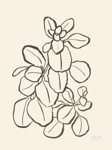 Dessin de feuilles en mode organique