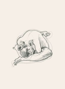 Silhouette recroquevillée