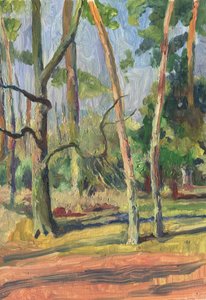 Sentier forestier ensoleillé - Catalina Somolinos