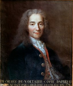 Portrait de Voltaire - Catherine Lusurier