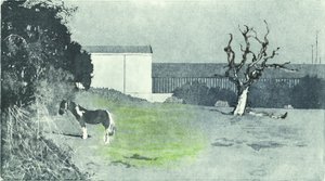 Face à une nouvelle croissance, 2016 (Aquatinte et gravure à la pointe sèche) - Catherine Sutcliffe-Fuller