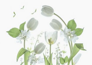  - Catherine Wang