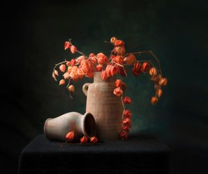  - Catherine Wang