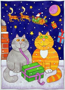 Surprise de Noël - Cathy Baxter
