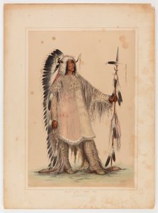 Mah-to-toh-pa, le chef des Mandans - Catlin, George