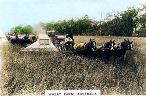 Ferme de blé Grenfell, Australie, vers les années 1920