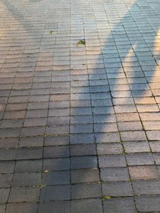 Composition - Light, 2021 (photo)