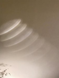 Composition - Lights, 2020 (photo) - Cécile Jamet