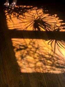 Composition - Shadows, 2019 (photo)