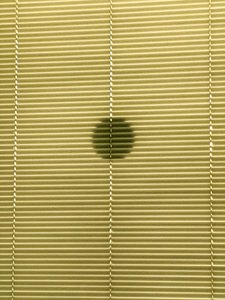 Composition - Shadows, 2019 (photo) - Cécile Jamet