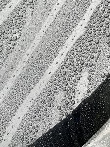 Composition - Texture, 2024 (photo)