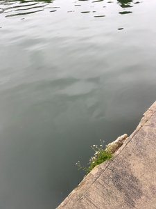 Composition, 2019 (photo) - Cécile Jamet
