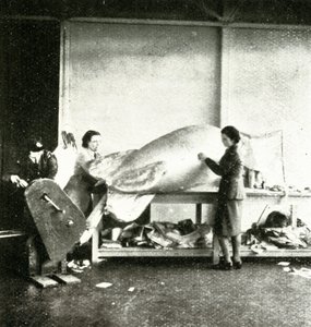 Réparation de Ballons de Barrage, vers 1943