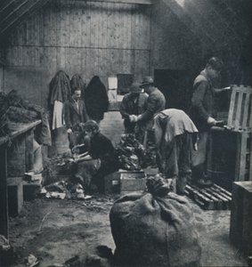 Légumes pour le marché, 1941