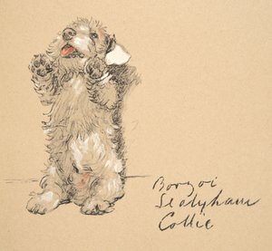 Sealyham, 1930, Illustrations de son carnet de croquis utilisé pour Just Among Friends, publié plus tard par Eyre et Spottiswoode Limited, 1934 - Cecil Charles Windsor Aldin