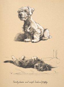 Sealyham et chiot Rough Dachund, 1930, Illustrations de son carnet de croquis utilisé pour Just Among Friends, publié plus tard par Eyre et Spottiswoode Limited, 1934 - Cecil Charles Windsor Aldin