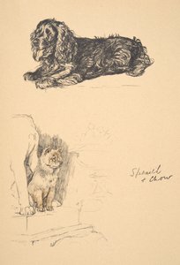 Épagneul et Chow, 1930, Illustrations de son carnet de croquis utilisé pour Just Among Friends, Aldin, Cecil Charles Windsor (1870-1935), publié plus tard par Eyre and Spottiswoode Limited, 1934 - Cecil Charles Windsor Aldin