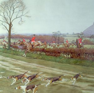 Le Cheshire - loin de Tattenhall (détail)