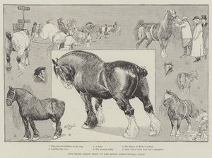 Le salon du cheval de trait au Royal Agricultural Hall - Cecil Charles Windsor Aldin