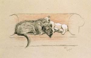 Lévrier irlandais et bull-terrier endormis sur un canapé