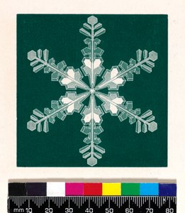 Cristaux de neige - Cecilia Glaisher
