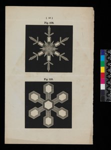 Cristaux de neige - Cecilia Glaisher
