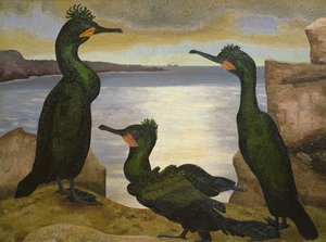 Cormorans - Cedric Morris