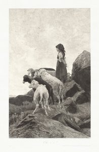 Qu
