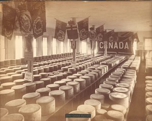 Usine de fromage