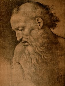 Tête de Saint Jérôme