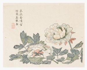 Jardin de graines de moutarde - Chang Chao