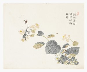 Jardin de graines de moutarde - Chao Mon Yu