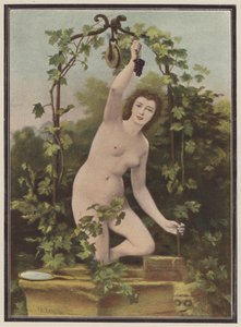Femme cueillant des raisins d