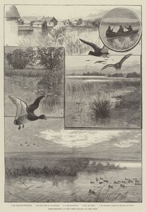 Chasse au canard à Long Point Island, sur le lac Érié - Charles (after) Whymper